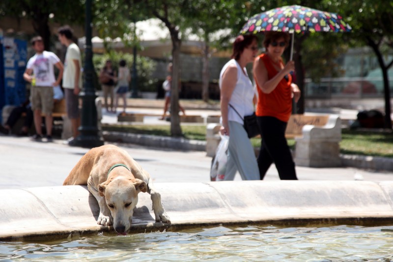 Αποτέλεσμα εικόνας για καύσωνας σαν την Αλγερία