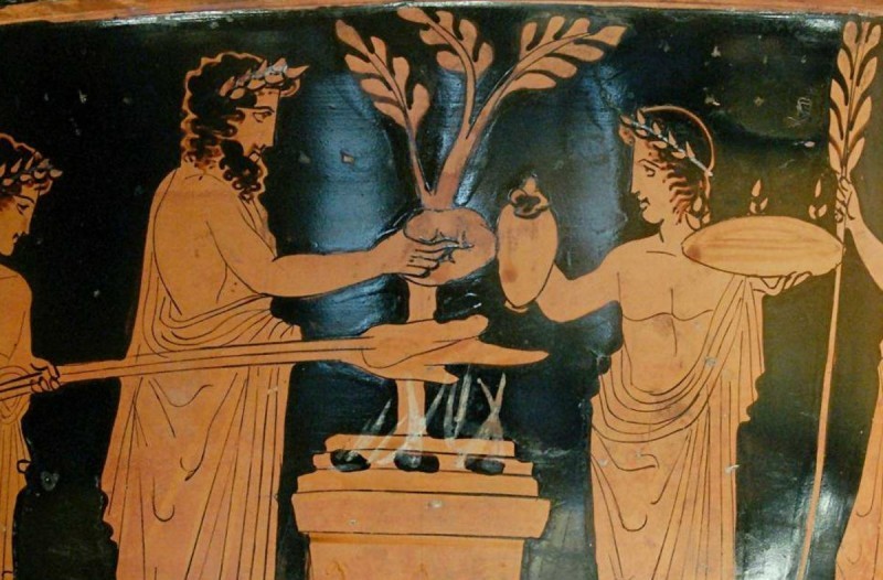 Αυτά τα αηδιαστικά 'σνακ' προτιμούσαν οι Αρχαίοι Έλληνες - Ο ίδιος ο Αριστοτέλης έτρωγε...