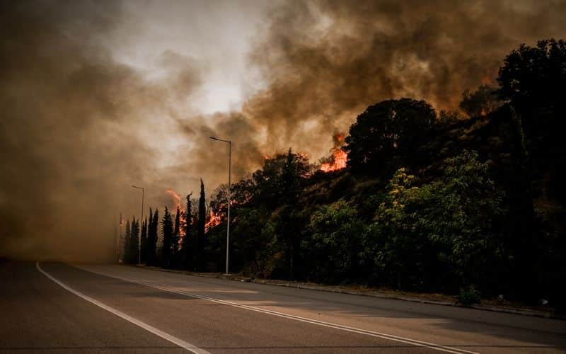 Φωτιές στην Μαγνησία: Τραγικό φινάλε στην εξαφάνιση βοσκού - Βρέθηκε απανθρακωμένος στις Φέρρες