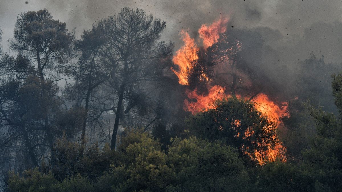 Σούδα: Εκτός ελέγχου η φωτιά κοντά στο Ναύσταθμο - Ενισχύονται οι πυροσβεστικές δυνάμεις