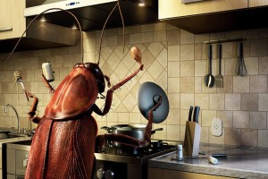 13 + 1 πράγματα που δεν θα θέλατε να ξέρατε για τις κατσαρίδες