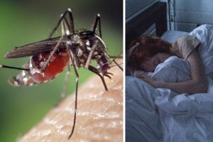 Για να μην βουίζουν στα αυτιά σας: Οι τρεις τροφές που πρέπει να σταματήσετε να τρώτε για να μην σας τσιμπάνε τα κουνούπια