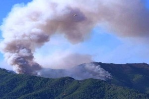 Μαίνεται η φωτιά στη Θάσο: Κάηκαν τα μοναδικά έλατα του νησιού - Στο πύρινο μέτωπο εναέρια μέσα