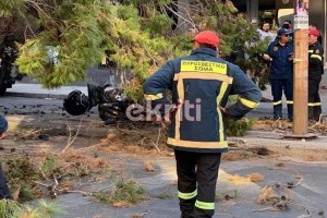 Τραγωδία στο Ηράκλειο: Τον πλάκωσε δέντρο και τον σκότωσε (φωτο)