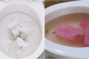 Θα εκπλαγείτε: Αυτά είναι τα πέντε πιο περίεργα πράγματα που πετάνε οι άνθρωποι στις τουαλέτες τους (Video)