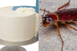 Απίστευτη παραγγελία σε ζαχαροπλάστες: Ζήτησαν… τούρτα με κατσαρίδες και την έφτιαξαν - Το αποτέλεσμα απλά σοκαριστικό (video)