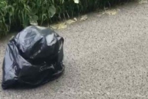 Ήταν στο δρόμο και είδε μια μαύρη σακούλα  -  Αυτό που αντίκρισε όταν την άνοιξε δεν το πίστευε κανείς! (video)