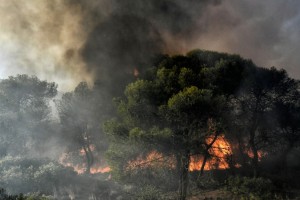Βοιωτία: Φωτιά σε εξέλιξη στην Αλίαρτο - Δεν απειλούνται κατοικημένες περιοχές