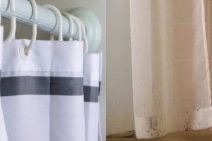Μαυρίλα μούχλας στην κουρτίνα του μπάνιου: 2 φυσικοί τρόποι να την εξαφανίσετε