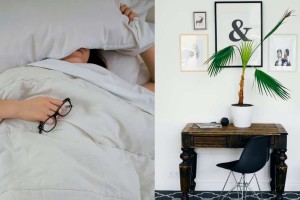 Όνειρα γλυκά: 3 φυτά για το υπνοδωμάτιο που θα σας χαρίσουν τον καλύτερο ύπνο