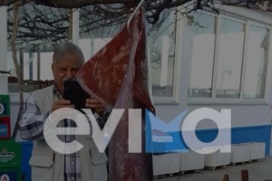 Μεγαλύτερο από το μπόι του: Ερασιτέχνης ψαράς από την Εύβοια έπιασε καλαμάρι που ζυγίζει 15 κιλά