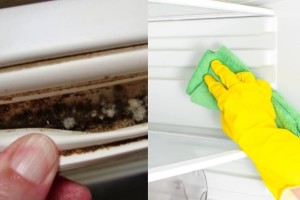 Λάστιχο ψυγείου: 3 δραστικοί τρόποι για να απομακρύνετε την μούχλα αποτελεσματικά