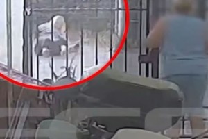 Σοκ στη Σαλαμίνα: 27χρονος αστυνομικός επιτέθηκε σε ζευγάρι και τους έσπασε το αμάξι - Το βίντεο ντοκουμέντο