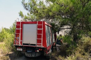 Μεγάλη φωτιά στην Αλίαρτο Βοιωτίας: Συναγερμός στην Πυροσβεστική - Σηκώθηκαν εναέρια μέσα