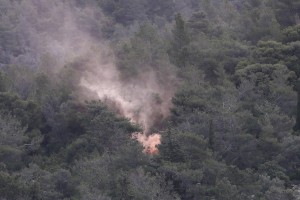 Συναγερμός στην Πυροσβεστική: Μεγάλη φωτιά στη Λακωνία