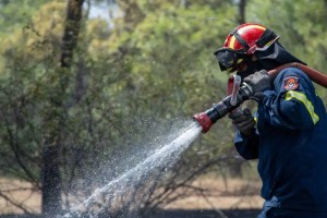 Φωτιά στο Άλσος Βεΐκου: Μεγάλη κινητοποίηση της Πυροσβεστικής - Σηκώθηκαν εναέρια μέσα