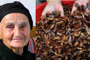 Το εκμυστηρεύτηκε η γιαγιά: Το έξυπνο κόλπο για να εξοντώσεις τις κατσαρίδες