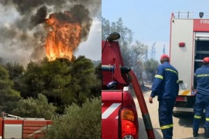Φωτιά στην Αργολίδα: Φουντώνει το πύρινο μέτωπο - Καίει κοντά σε οικισμό (video)