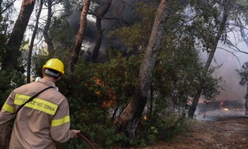 Συναγερμός στην Πυροσβεστική: Φωτιά τώρα στην Περιφερειακή Αιγάλεω