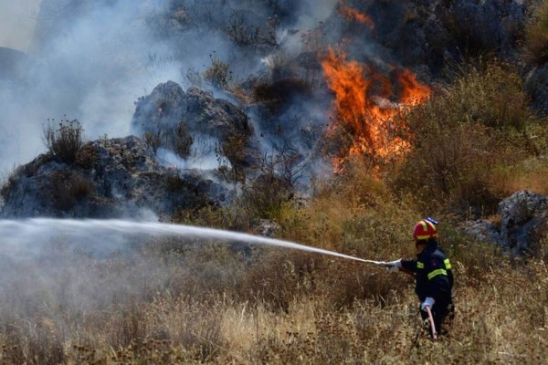 Συναγερμός στη Μεσσηνία: Φωτιά ξέσπασε σε δασική έκταση