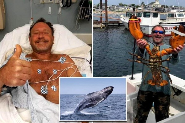 Φάλαινα κατάπιε και ξέρασε άντρα, ο οποίος κατάφερε και επέζησε! (video)