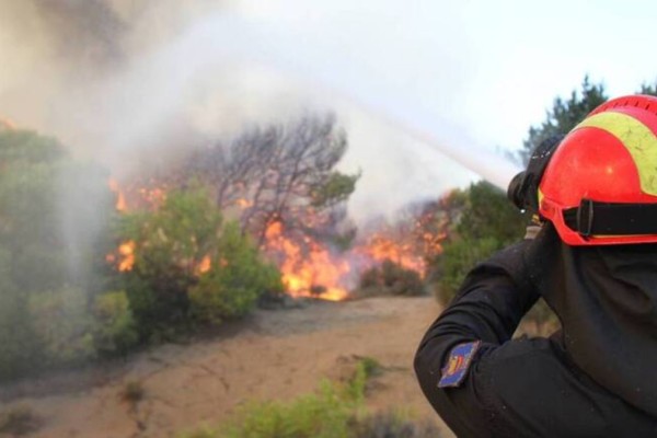 Υπό μερικό έλεγχο η φωτιά στον Πύργο