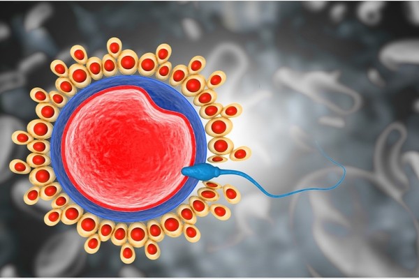 Κορωνοϊός: Τα mRNA εμβόλια δεν βλάπτουν το ανδρικό σπέρμα