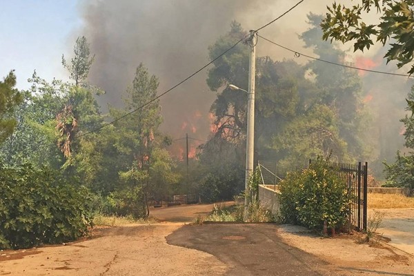 Μάχη μην καούν σπίτια στη Σταμάτα: «Η πυρκαγιά κινείται προς τον Διόνυσο» - Εκκενώθηκε ο οικισμός Γαλήνη!