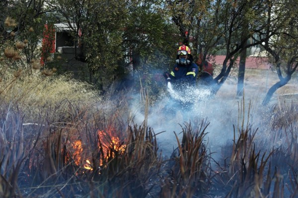 Φωτιά στο Αίγιο - Κάηκαν περίπου 70 στρέμματα δασικής έκτασης στη Ρόδο