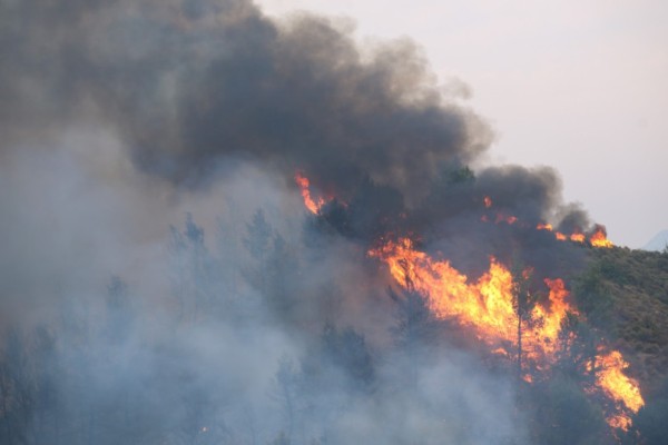 Φωτιά στη Μάνη: Συνεχίζεται η τραγωδία στη Λακωνική πλευρά - Η καταστροφή που φέρνουν οι πυρκαγιές στην οικονομία