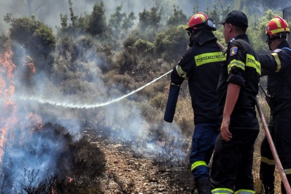 Νέα φωτιά στην Ανατολική Μάνη - Επιχειρούν 16 πυροσβέστες