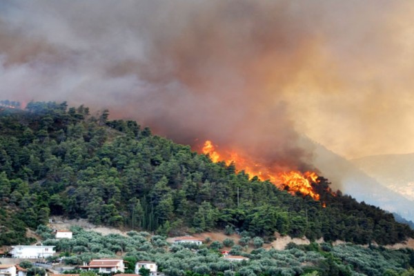 Φωτιά στη Μάνδρα - Έχουν κινητοποιηθεί επτά οχήματα