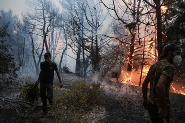 Δωρεάν 24ωρη ψυχολογική υποστήριξη στους πληγέντες των πυρκαγιών