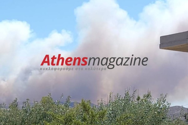 Πύρινη κόλαση στην Αττική: Τρέχουν προς Λαύριο και Ανάβυσσο στα Ανατολικά - Φωτιά και στα Βίλια