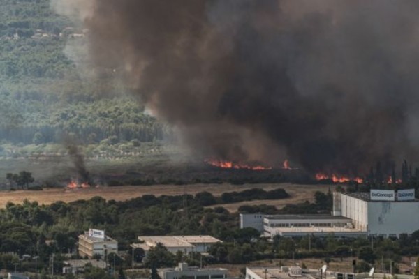 Φωτιά στη Βαρυμπόμπη: Καρέ καρέ πως ξεκίνησε η πυρκαγιά (video)