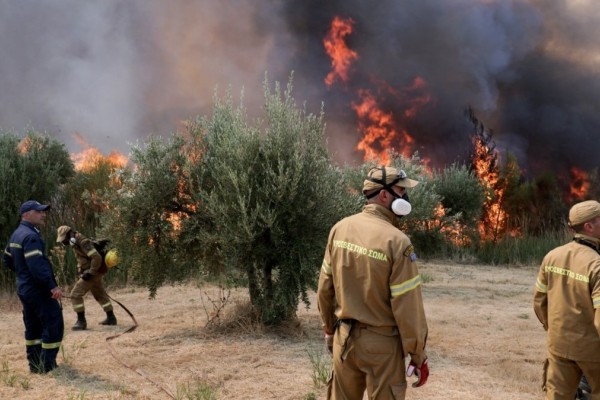 Φωτιά στην Ηλεία: Εντοπίστηκε ύποπτος για εμπρησμό