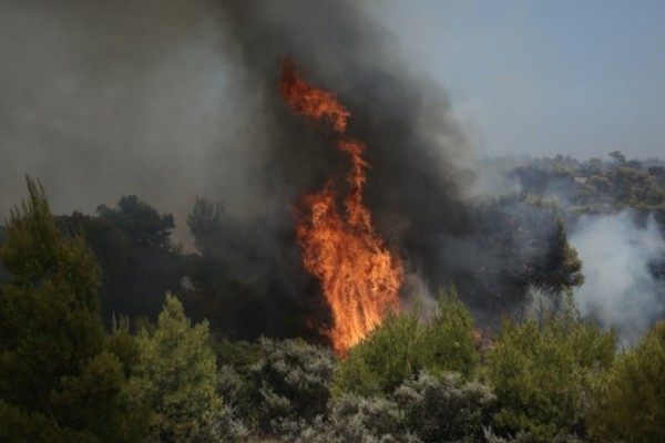 Μεγάλη φωτιά στο Μαρκάτι του Δήμου Λαυρεωτικής - Απειλούνται σπίτια