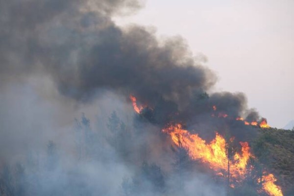 Φωτιά στο Ηράκλειο: Υπό μερικό έλεγχο η πυρκαγιά στον Aγιο Θωμά