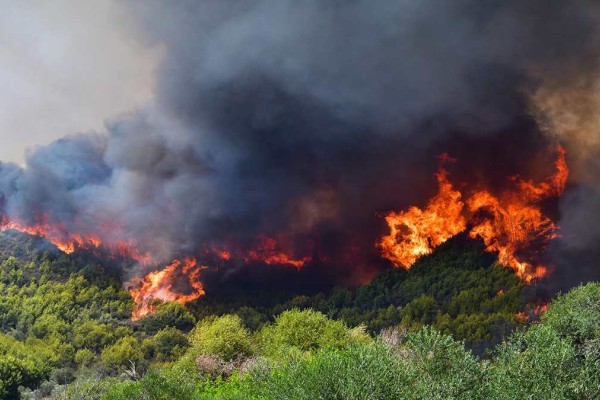 Θρίλερ στην Γορτυνία: Εκκενώθηκαν 19 οικισμοί - Ενισχύονται συνέχεια οι πυροσβεστικές δυνάμεις