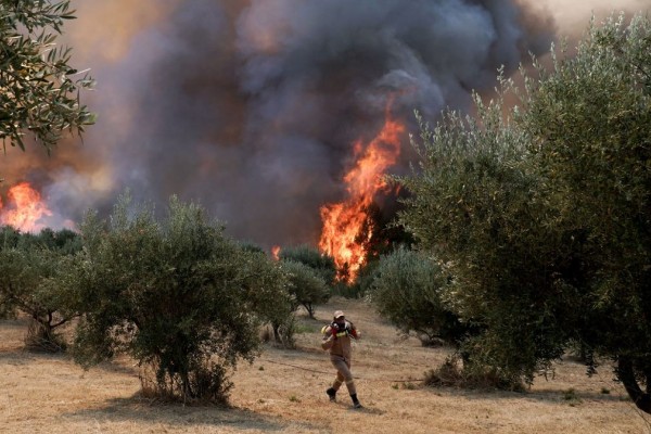 Νέα φωτιά τώρα στην Ηλεία: Πύρινο μέτωπο και στη Ζαχάρω