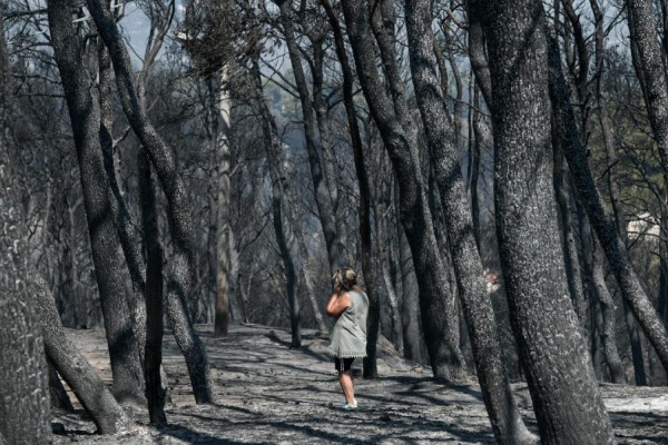 Τραγικό! Στάχτη πάνω από ένα εκατ. στρέμματα δασικής έκτασης