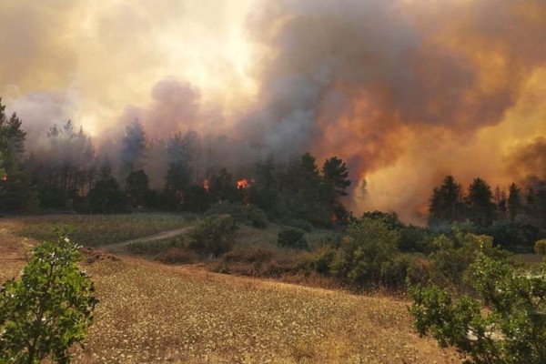 Μάνη: Αναζωπύρωση σε Γέρμα και Σκαμνάκι