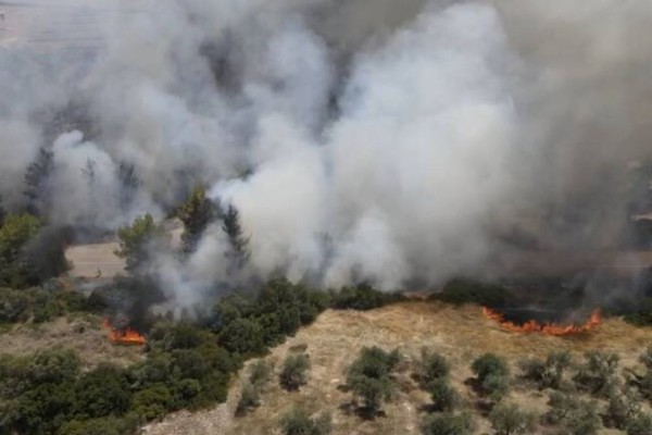 Φωτιά στη Μεσσηνία: Ισχυρές δυνάμεις στην περιοχή