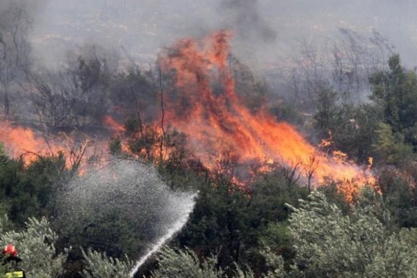 Φωτιά στην Πάρνηθα: Μία προσαγωγή για εμπρησμό