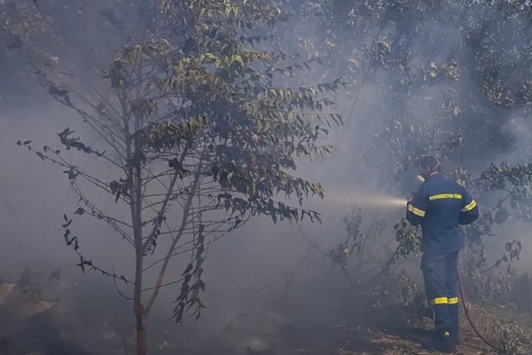 Φωτιά στον Κάλαμο - Ενεργό μέτωπο και στην Πάρνηθα