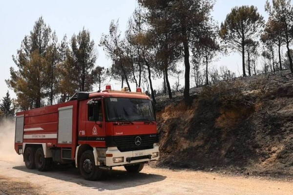 Φωτιά στην ανατολική Μάνη