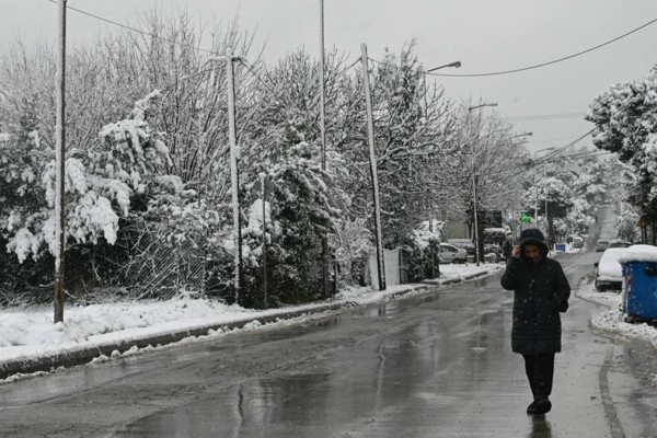 Η φωτογραφία της ημέρας: Άνοιξη στα λευκά...