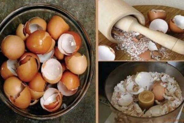 Δε θα τα ξαναπετάξετε ποτέ: 6 φανταστικές φυσικές θεραπείες με τσόφλια αυγού!