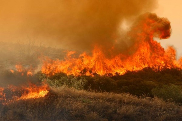 Κρήτη: Συναγερμός για πύρινο μέτωπο εν μέσω θυελλωδών νοτιάδων