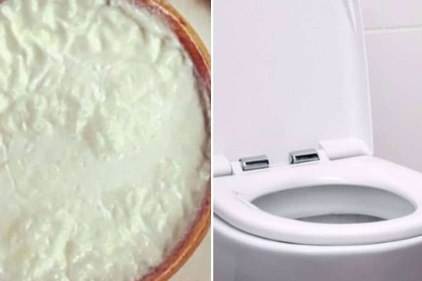 Εσύ το έχεις δοκιμάσει; Δεν φαντάζεσαι τι θα συμβεί αν ρίξεις γιαούρτι στη λεκάνη της τουαλέτας!